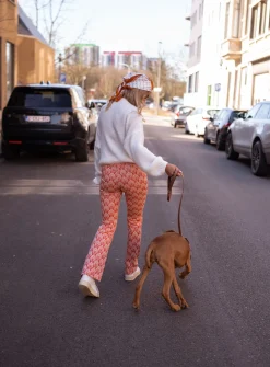 Pantalons-EASY-CLOTHES Pantalon Curtis - orange à motifsEasy Clothes Orange à motifs